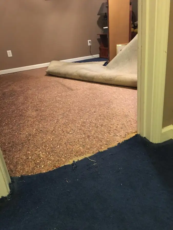 Carpet pad removal revealing water damage during Water Mitigation Services in Ashland