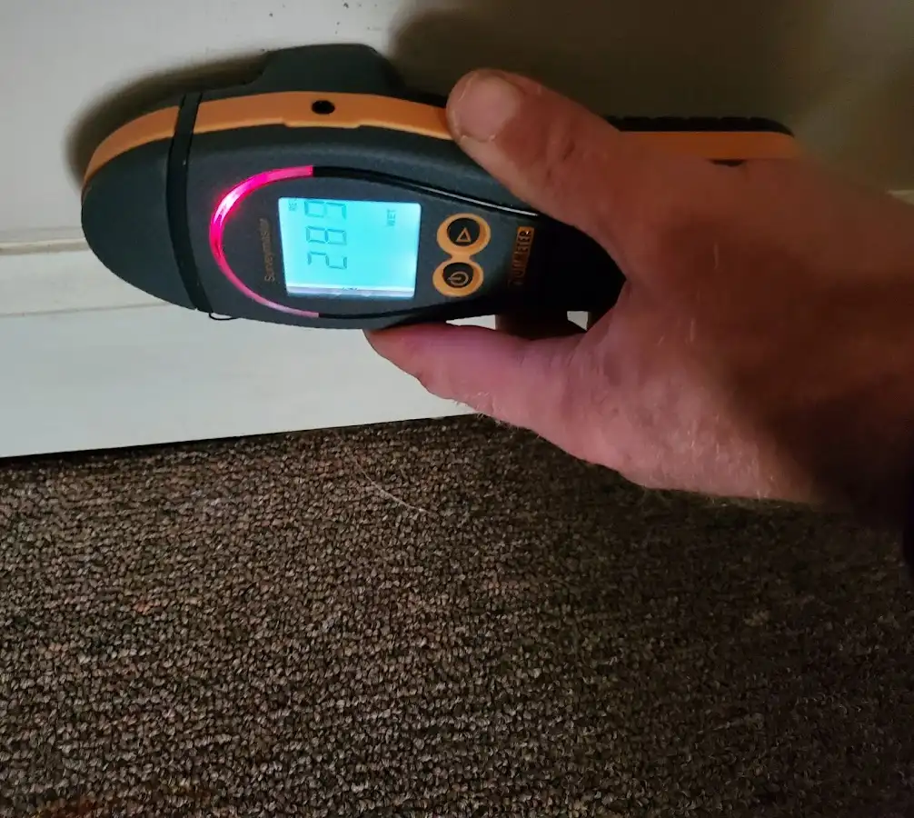 Moisture detection at baseboard during Sewage Cleanup & Sanitation in Ashland